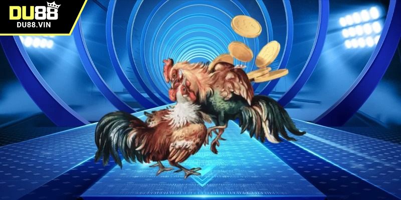 App đá gà DU88 mang đến trải nghiệm gì?