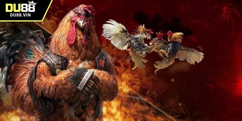 Có nhiều cách xem đá gà trực tiếp khác nhau