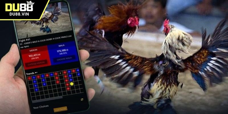 Cược hiệu quả hơn nhờ ứng dụng đá gà nhà cái